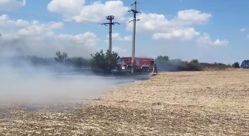 alerta pe autostrada a2 pe sensul spre constanta a luat foc vegetatia de pe marginea drumului 68a5fc0af342f