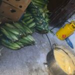 amenzi de peste 170 000 de lei pentru vanzatorii ambulanti de gogosi porumb fiert si colaci secuiesti de la eforie 68a3163255c24