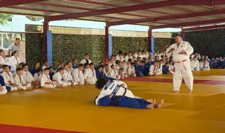 antrenamente intense la pantheon judo camp randorikata din statiunea venus 68b18c8e71c64