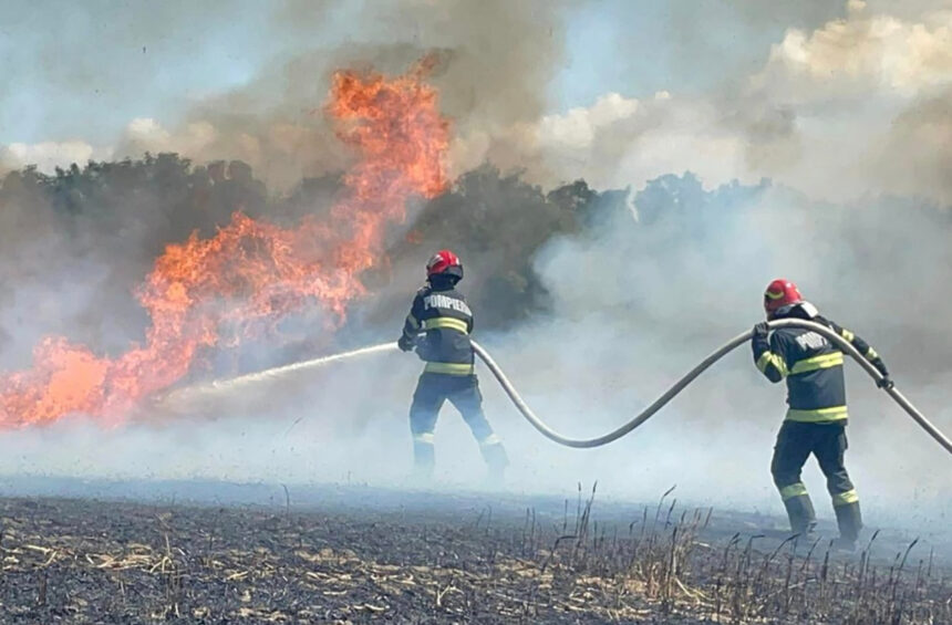 arde vegetatia uscata din garliciu pompierii intervin pentru stingerea lui chiar in aceste momente 6899f7b91edcf