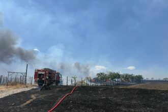 arde vegetatia uscata la iesirea din nazarcea spre ovidiu pompierii intervin cu trei autospeciale 68b1b3a75816e