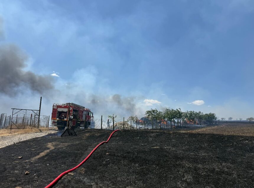arde vegetatia uscata la iesirea din nazarcea spre ovidiu pompierii intervin cu trei autospeciale 68b1b3a75816e