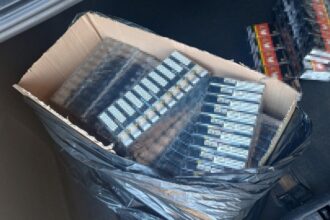 captura record in portul constanta peste 15 milioane de tigarete ascunse intr un container cu marfa declarata fals 689d7aa644a5d