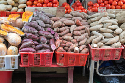 cartofii si rosiile au un stramos comun iar asta poate ajuta la revolutionarea agriculturii tomate la suprafata tuberculi in pamant 688e1537d2b60