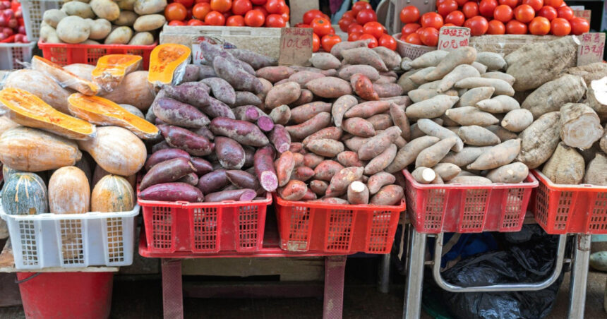 cartofii si rosiile au un stramos comun iar asta poate ajuta la revolutionarea agriculturii tomate la suprafata tuberculi in pamant 688e1537d2b60