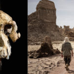 cercetatorii au descoperit o noua specie de hominizi care ar putea schimba povestea evolutiei omului 68a2b39884973
