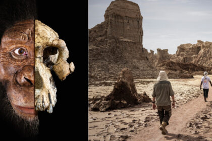 cercetatorii au descoperit o noua specie de hominizi care ar putea schimba povestea evolutiei omului 68a2b39884973