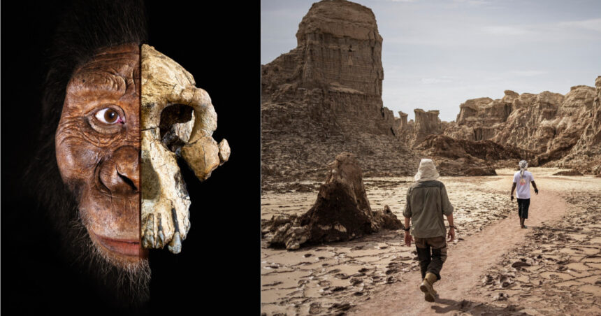 cercetatorii au descoperit o noua specie de hominizi care ar putea schimba povestea evolutiei omului 68a2b39884973