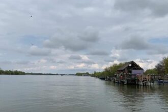 controale cu radar in delta dunarii inspectorii arbdd verifica viteza ambarcatiunilor si siguranta turistilor 68949f4eda15d