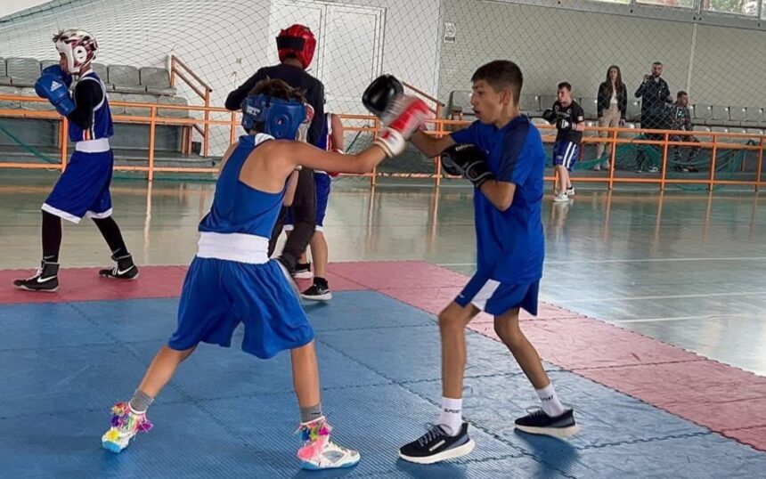 copiii din cernavoda sunt invitati la selectiile de la box si kempo organizate de axiopolis 68a39b262013c