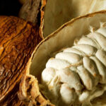 criza industriei de ciocolata o noua metoda de productie ar putea folosi parti mai mari din fructul de cacao fara a afecta gustul 68ab1420ad95c