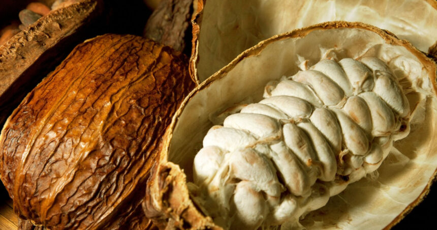 criza industriei de ciocolata o noua metoda de productie ar putea folosi parti mai mari din fructul de cacao fara a afecta gustul 68ab1420ad95c