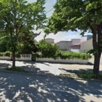 de la comertul alimentar la imobiliare societatea ana dist srl initiatoare a unui puz pe bulevardul mamaia 68944ea51d563