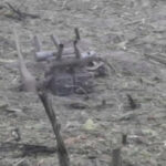 de unde provenea drona militara prabusita in estul poloniei primele concluzii ale procurorilor 68a6ffd819c79
