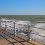 dobrogea sub cod galben de vant 689353d3126f6