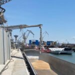 fara cerealele ucrainiene tts afiseaza pierdere pentru prima jumatate a anului 68b1cda575492