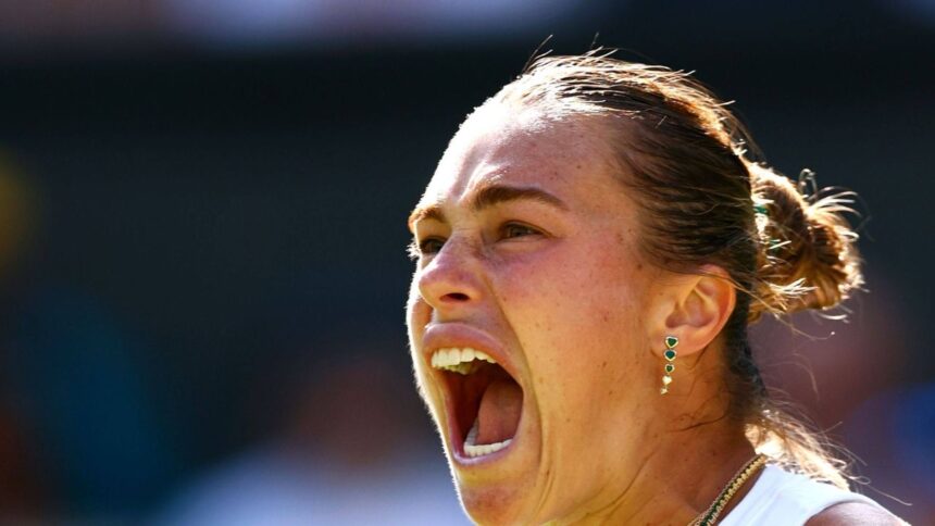 foto bani cu lopata ce premii sunt puse in joc la us open 2025 68943e78b8456