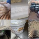 foto comandamentul litoral 2025 a aplicat sanctiuni de peste 150 000 de euro vezi aici ce abateri au constatat comisarii de la protectia consumatorilor 688e2772e7cc8