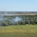 foto de 5 zile arde padurea din zona chilia veche judetul tulcea 6895daafd1ef6