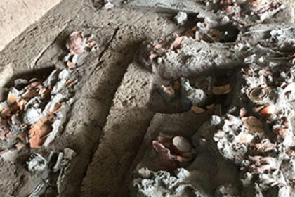 foto descoperire rara dinti vechi de 4 000 de ani arata ca oamenii consumau nuci cu efecte psihoactive 68905112093ea