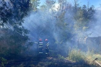 foto incendiu in localitatea mahmudia extins de la vegetatie uscata la anexe gospodaresti 68a77b22651aa