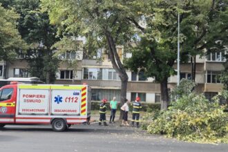 foto la un pas de tragedie pe bulevardul ferdinand din constanta pompierii chemati la fata locului 68a488c27e876