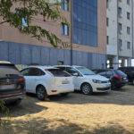 foto spatiile verzi din constanta si mamaia au fost transformate in parcari gratuite pentru turisti 6895b9d22231c