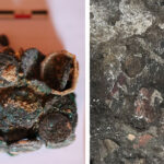foto tezaur roman descoperit in situl arheologic histria zeci de monede si podoabe din metale pretioase vor fi restaurate 68ac8f01befbe