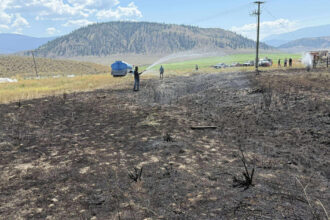 foto un peste scapat de o pasare de prada pe o linie de inalta tensiune a provocat un incendiu in canada a vrut sa incerce peste gatit 68943debc0d20