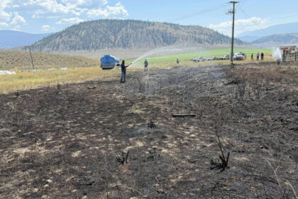 foto un peste scapat de o pasare de prada pe o linie de inalta tensiune a provocat un incendiu in canada a vrut sa incerce peste gatit 68943debc0d20