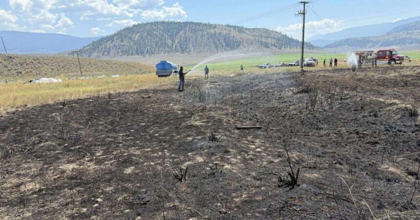 foto un peste scapat de o pasare de prada pe o linie de inalta tensiune a provocat un incendiu in canada a vrut sa incerce peste gatit 68943debc0d20