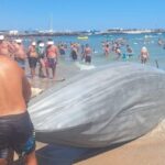 foto un velier de mici dimensiuni s a rasturnat la eforie nord au intervenit salvamarii 68a1dfd72485c