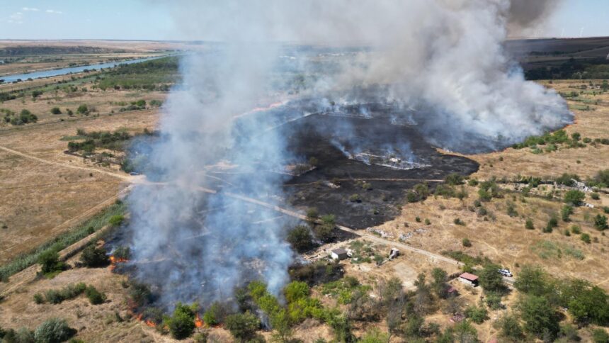 foto video incendiu violent de vegetatie la medgidia pompierii intervin cu 9 autospeciale 68a1df10652ea