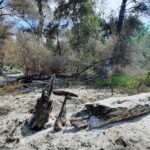 foto video incendiu violent in delta dunarii zona sireasa pompierii tulceni ajutati de lucratorii de la ocolul silvic si de un elicopter black hawk 68a31636f170c