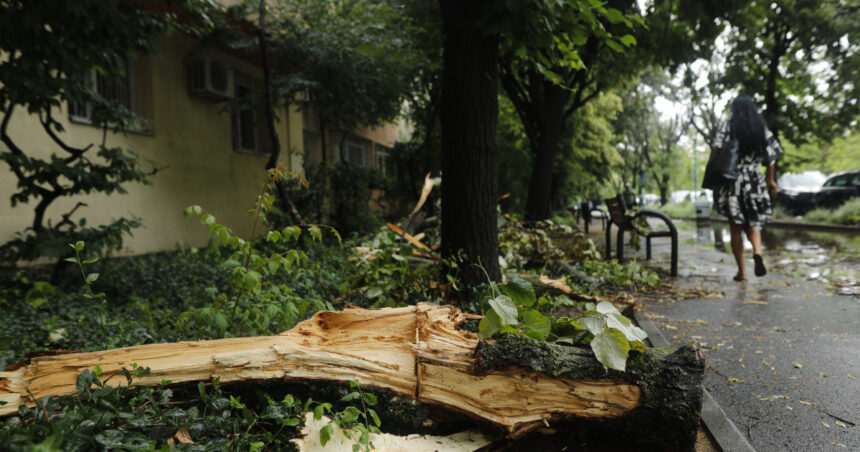 furtunile se muta in jumatatea de sud a tarii meteorolog o vreme schimbatoare si cu intervale de instabilitate 68a2bf6ac5886