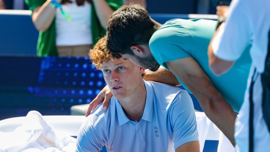 galerie foto ce risipa ce le a spus sinner 1 atp fanilor care au platit o avere ca sa il vada abandonand in finala de la cincinnati 68a4bc0de21db