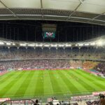 galerie foto crainicul de la rapid apel la galeria lui fcsb in timpul meciului arbitrii nu au intervenit 68a227f0b83d2