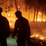 galerie foto incendiile de vegetatie fac ravagii in nord vestul spaniei peste 1000 de persoane evacuate sit unesco in pericol 6899bff01260e