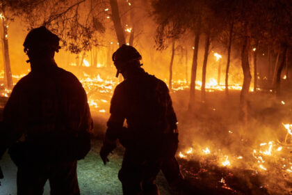 galerie foto incendiile de vegetatie fac ravagii in nord vestul spaniei peste 1000 de persoane evacuate sit unesco in pericol 6899bff01260e