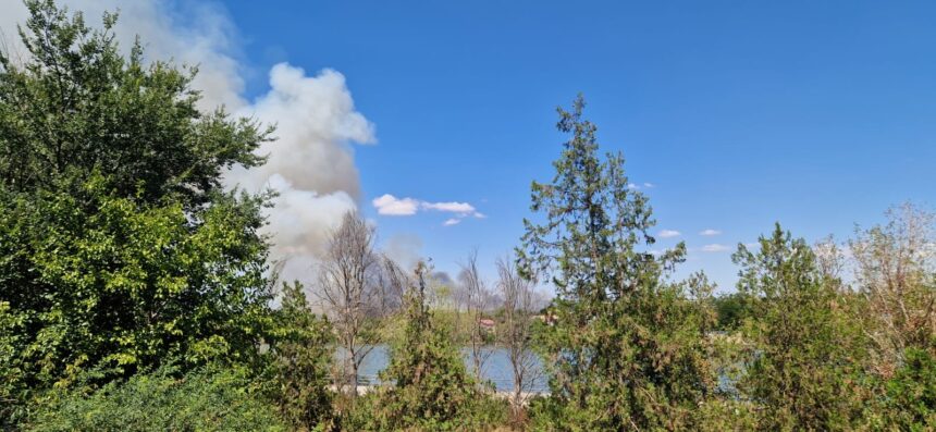 galerie fotovideo update numarul autospecialelor de stingere suplimentat incendiu violent de vegetatie uscata la medgidia 68a1c38bf170b