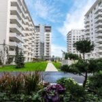 impact developer contractor rezultate drastic ameliorate la s1 68a60943112f7
