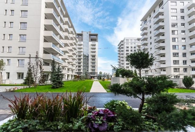 impact developer contractor rezultate drastic ameliorate la s1 68a60943112f7