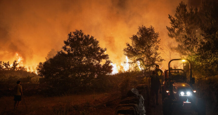 incendiile de padure au devastat o suprafata record in centrul portugaliei 68ac780358ac3