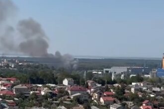 incendiu aproape de santierul naval din tulcea intervin mai multe echipaje de pompieri si politie 68a093c70a82f