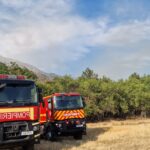 incendiu de vegetatie uscata intre medgidia si valea dacilor pompierii intervin de urgenta 688ca59846ec5
