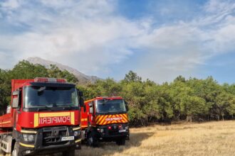 incendiu de vegetatie uscata intre medgidia si valea dacilor pompierii intervin de urgenta 688ca59846ec5