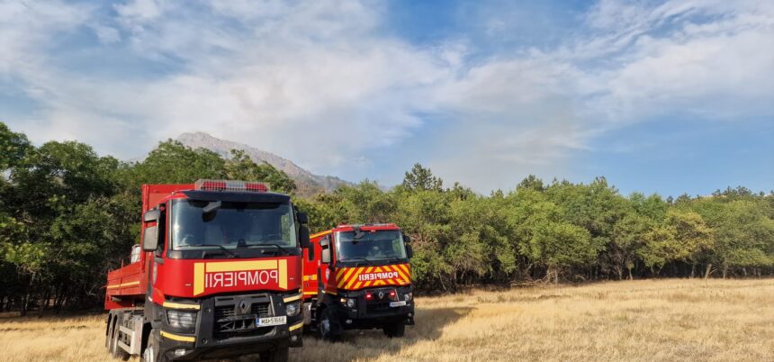 incendiu de vegetatie uscata intre medgidia si valea dacilor pompierii intervin de urgenta 688ca59846ec5