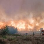 incendiu de vegetatie uscata intre murighiol si mahmudia 68a9aec13552b