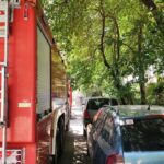 incendiu in cartierul boreal din constanta iata de la ce a pornit focul 6899a61739b0d