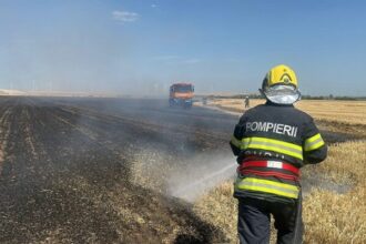 incendiu intre lanurile si ciocarlia o camioneta a luat foc iar flacarile s au extins la vegetatia uscata 689491222d27d
